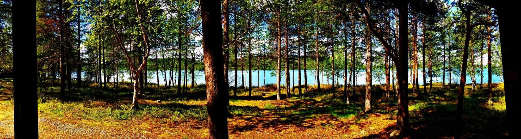 Ukonjaerven Holiday Village Ivalo Værelse billede