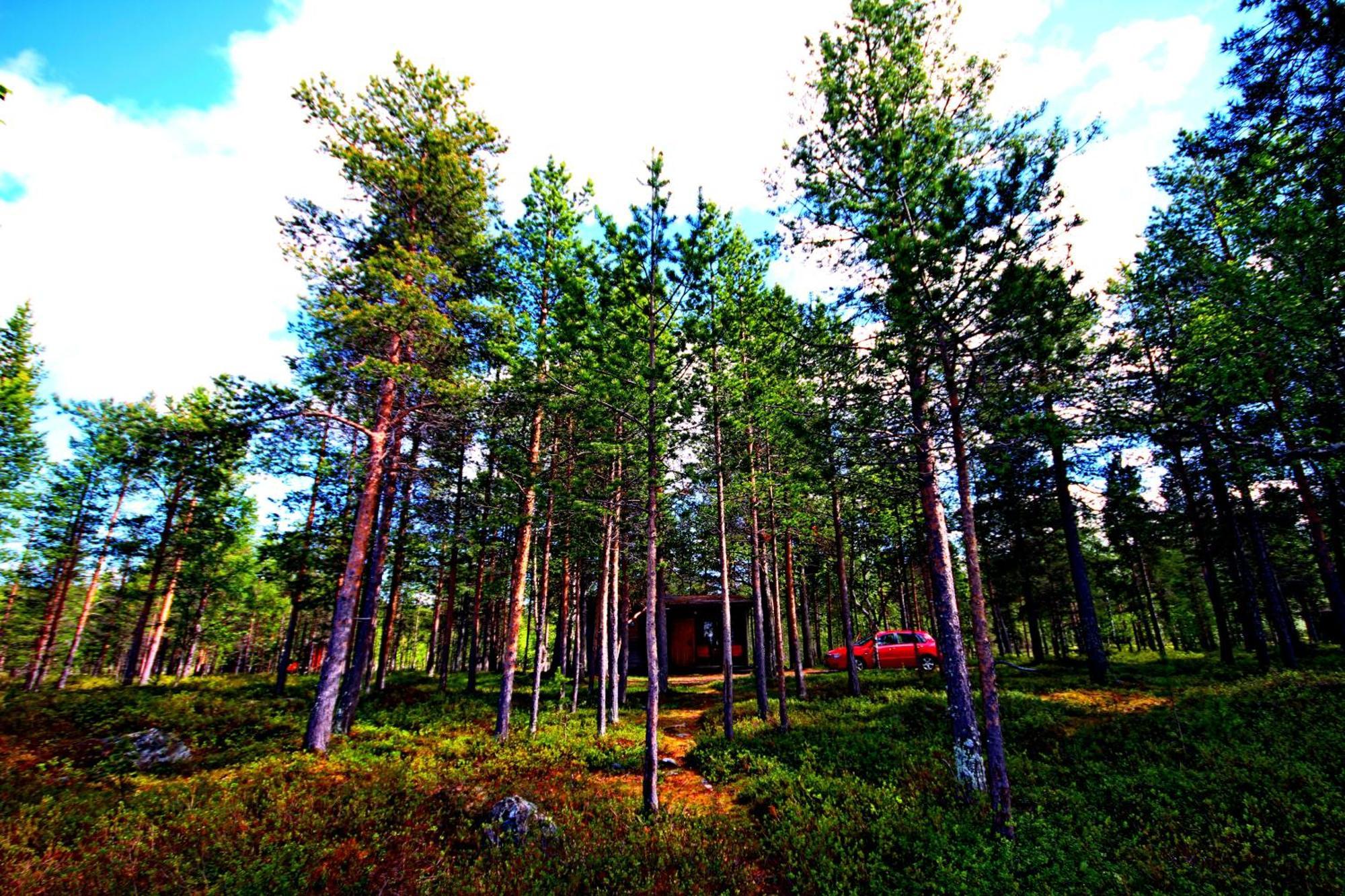 Ukonjaerven Holiday Village Ivalo Værelse billede