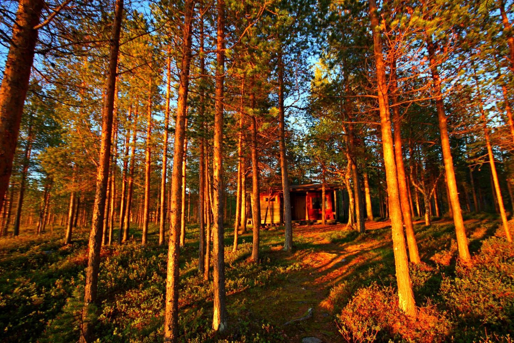 Ukonjaerven Holiday Village Ivalo Værelse billede